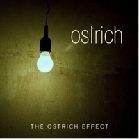 Ostrich, The Ostrich Effect