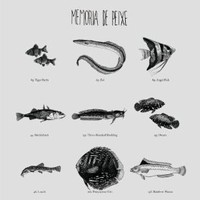Memoria De Peixe, Memoria De Peixe