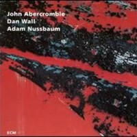 John Abercrombie, While We're Young