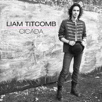 Liam Titcomb, Cicada