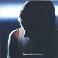 Hothouse Flowers, Born