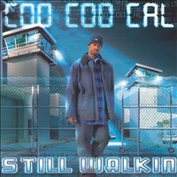 Coo Coo Cal, Still Walkin