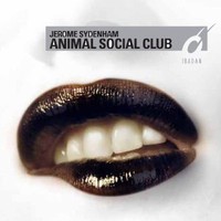 Jerome Sydenham, Animal Social Club