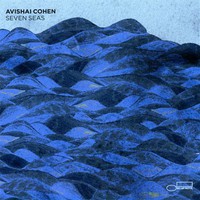 Avishai Cohen, Seven Seas