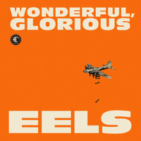Eels, Wonderful, Glorious
