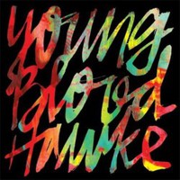 Youngblood Hawke, Youngblood Hawke