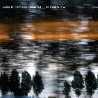 Julia Hulsmann Quartet, In Full View