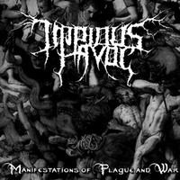 Impious Havoc, Manifestations of Plague and War