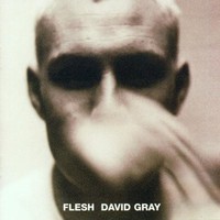 David Gray, Flesh