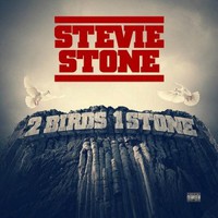 Stevie Stone, 2 Birds 1 Stone