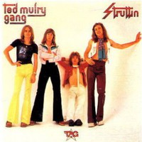 Ted Mulry Gang, Struttin