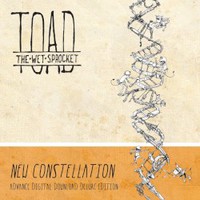 Toad the Wet Sprocket, New Constellation