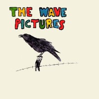 The Wave Pictures, City Forgiveness