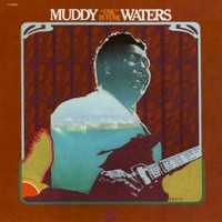 Muddy Waters, "Unk" in Funk