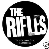 The Rifles, The Dreams Of A Bumblebee