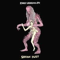 Chad VanGaalen, Shrink Dust