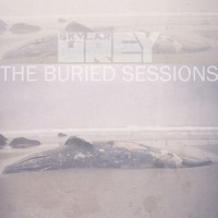 Skylar Grey, The Buried Sessions