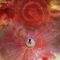 Animals As Leaders, The Joy of Motion
