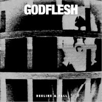 Godflesh, Decline & Fall