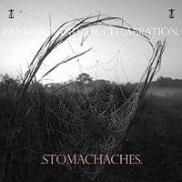 frnkiero andthe cellabration, .Stomachaches.