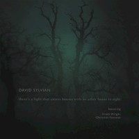 David Sylvian, There's a Light That Enters Houses With No Other House in Sight