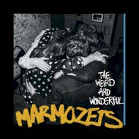 Marmozets, The Weird And Wonderful Marmozets