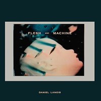 Daniel Lanois, Flesh and Machine