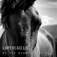 Capercaillie, At The Heart Of It All
