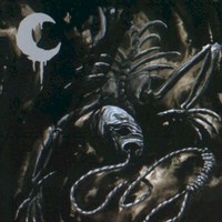 Leviathan, A Silhouette In Splinters