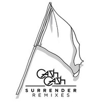 Cash Cash, Surrender Remixes