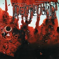 Deathbound, To Cure The Sane With Insanity