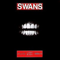 Swans, Filth