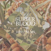 Surfer Blood, 1000 Palms