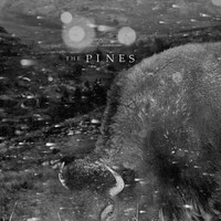 The Pines, Pasture: Folk Songs