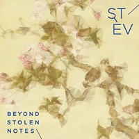 Stev, Beyond Stolen Notes