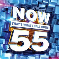 Various Artists, Now That's What I Call Music! 55