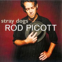 Rod Picott, Stray Dogs