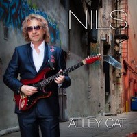 Nils, Alley Cat