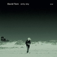 David Torn, Only Sky