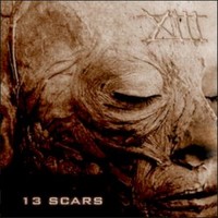4ARM, 13 Scars