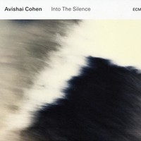 Avishai Cohen, Into the Silence