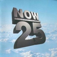 Various Artists, Now That's What I Call Music! 25 UK