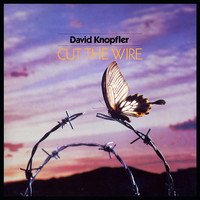 David Knopfler, Cut The Wire