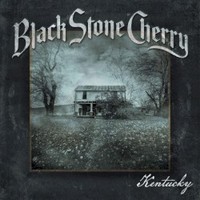 Black Stone Cherry, Kentucky
