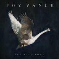 Foy Vance, The Wild Swan