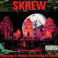 Skrew, Burning in Water, Drowning in Flame