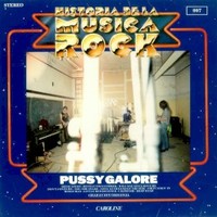 Pussy Galore, Historia De La Musica Rock