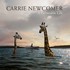 Carrie Newcomer, A Permeable Life mp3