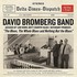 David Bromberg Band, The Blues, The Whole Blues and Nothing But the Blues mp3