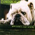 Dinosaur Jr., Whatever's Cool With Me mp3